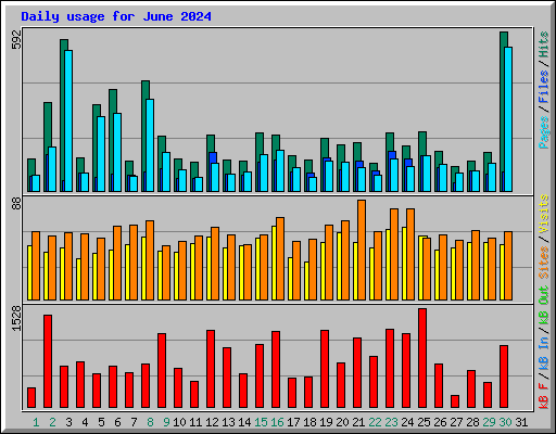 Daily usage for June 2024