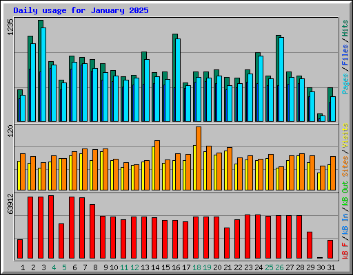 Daily usage for January 2025