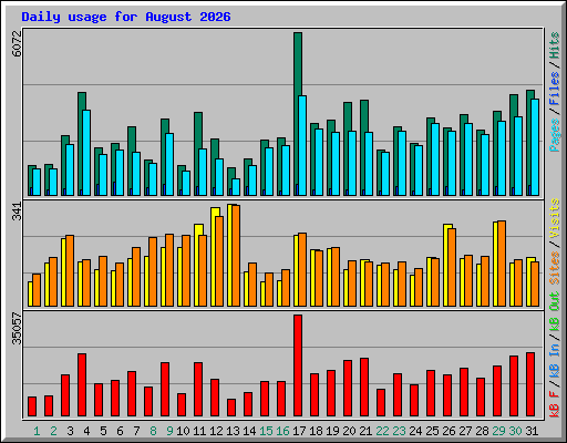 Daily usage for August 2026