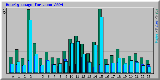 Hourly usage for June 2024