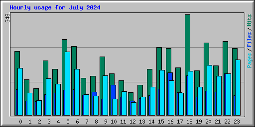 Hourly usage for July 2024