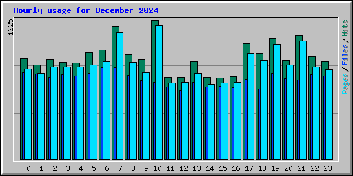 Hourly usage for December 2024