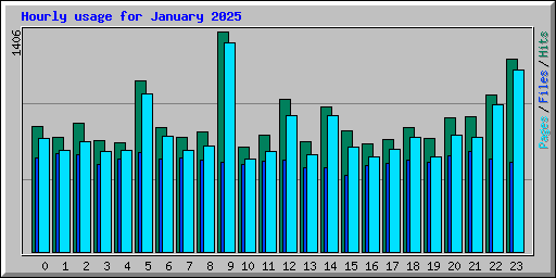 Hourly usage for January 2025