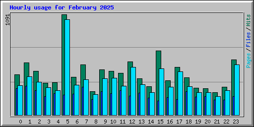 Hourly usage for February 2025