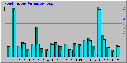 Hourly usage for August 2025