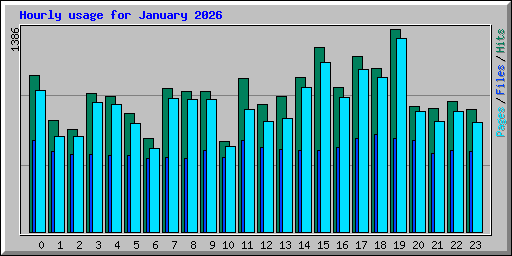 Hourly usage for January 2026