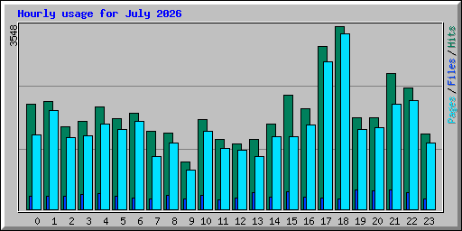 Hourly usage for July 2026