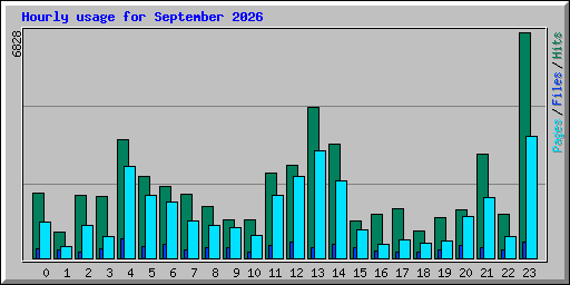 Hourly usage for September 2026