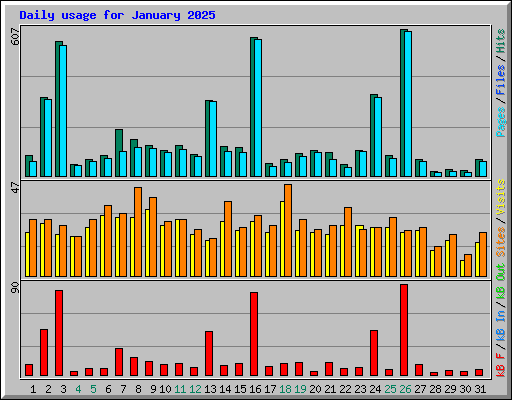 Daily usage for January 2025