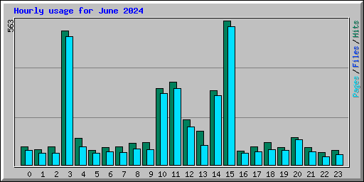 Hourly usage for June 2024