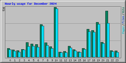 Hourly usage for December 2024