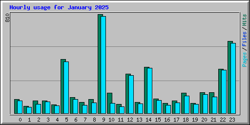 Hourly usage for January 2025