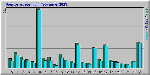 Hourly usage for February 2025