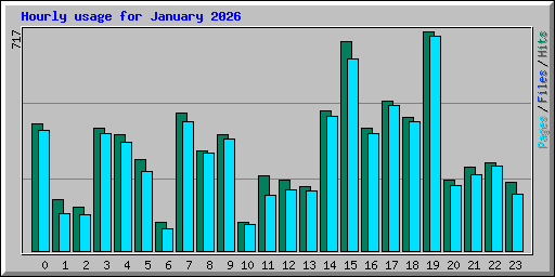 Hourly usage for January 2026