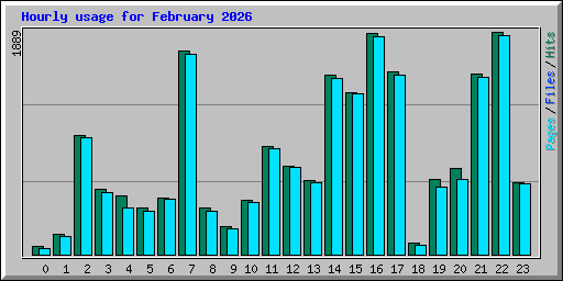 Hourly usage for February 2026